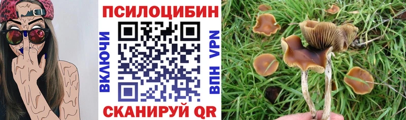 Галлюциногенные грибы Psilocybine cubensis  omg   Новомосковск 